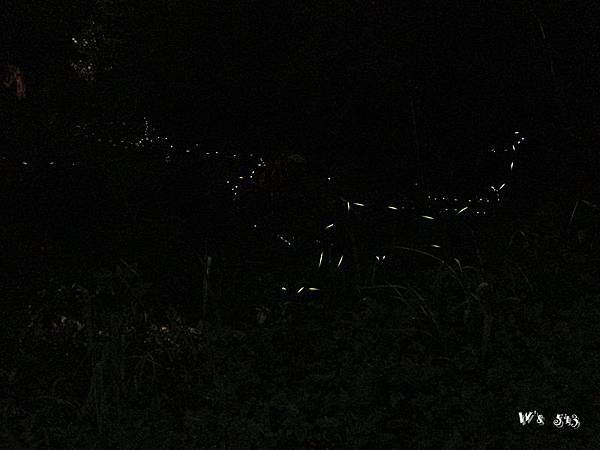 IMG_0605 IMG_0605