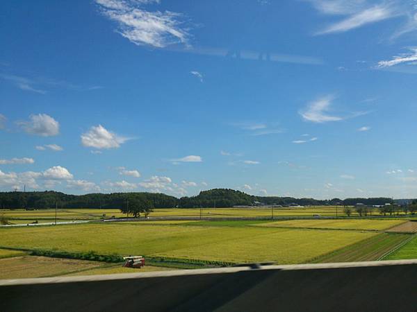 DSC_0138.jpg DSC_0138.jpg