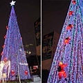 台北市政府聖誕樹