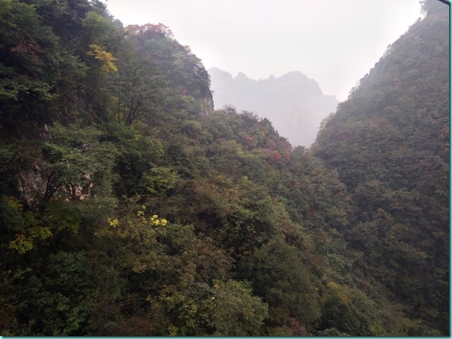 IMG20171025135932 IMG20171025135932