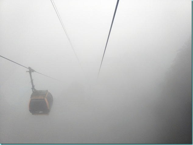 IMG20171025140509 IMG20171025140509