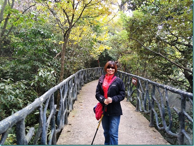 IMG20171025141731 IMG20171025141731