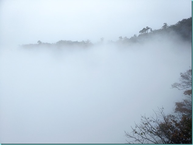 IMG20171025141817 IMG20171025141817