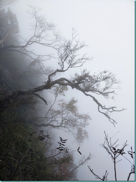 IMG20171025141848 IMG20171025141848