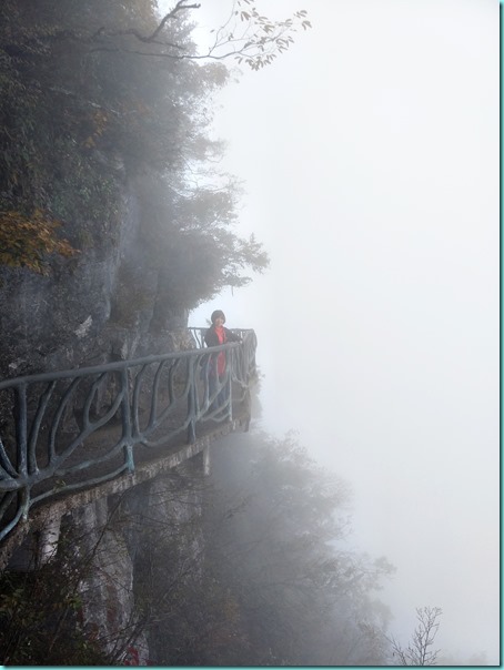 IMG20171025141954 IMG20171025141954