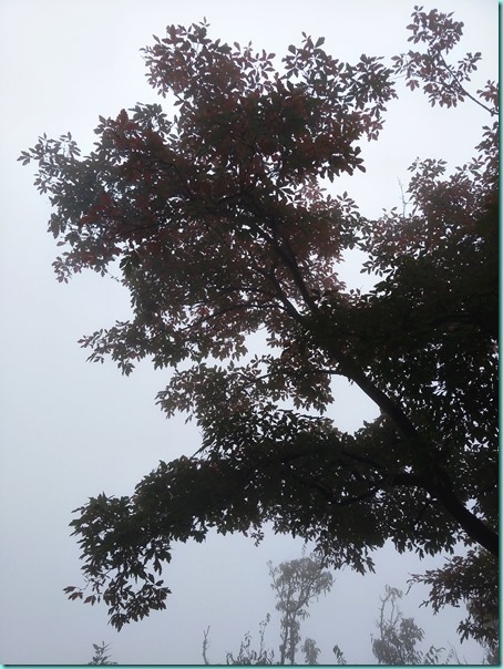 IMG20171025142129 IMG20171025142129