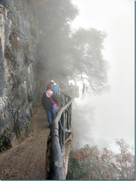 IMG20171025142222 IMG20171025142222