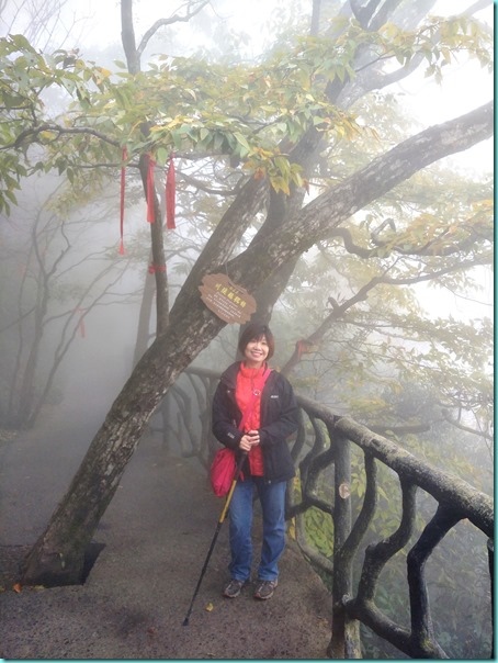 IMG20171025143227 IMG20171025143227