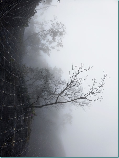 IMG20171025143604 IMG20171025143604