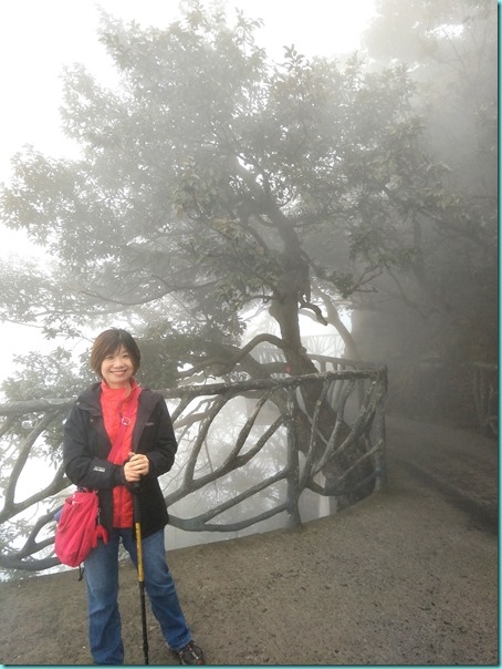 IMG20171025143958 IMG20171025143958