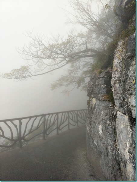 IMG20171025144556 IMG20171025144556