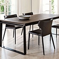 Natuzzi Omega table-1.jpg