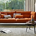 B&B ITALIA-sofa-HUSK_06.jpg