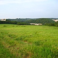 青青草原 這是個草坡 遠眺中華大學