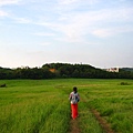 青青草原