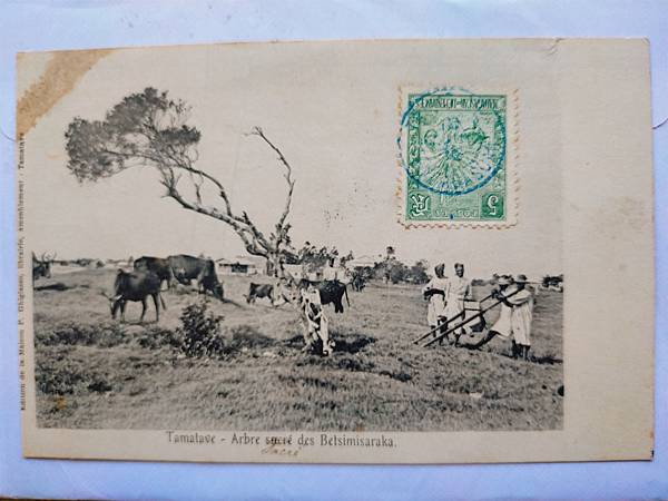 【原圖卡玩樂趣】第129篇—1906~1908法屬馬達加斯加