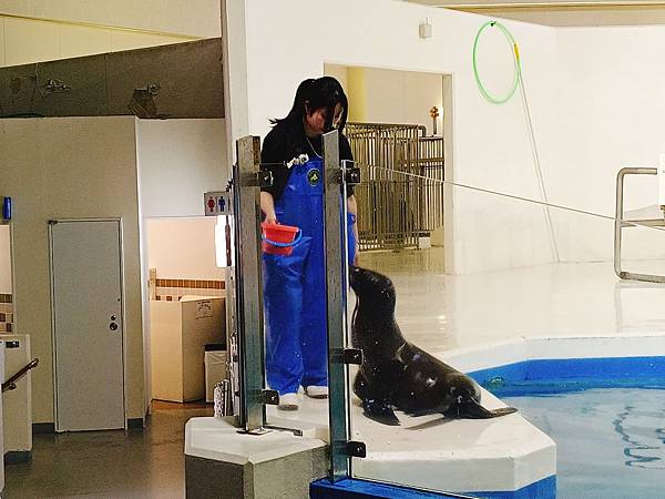 【日本北海道之旅】北歐風格的城堡竟然是水旅館—登別尼克斯海洋