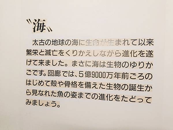 【日本北海道之旅】北歐風格的城堡竟然是水旅館—登別尼克斯海洋