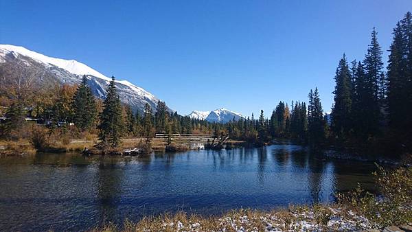 IMG_7240.JPG IMG_7240.JPG