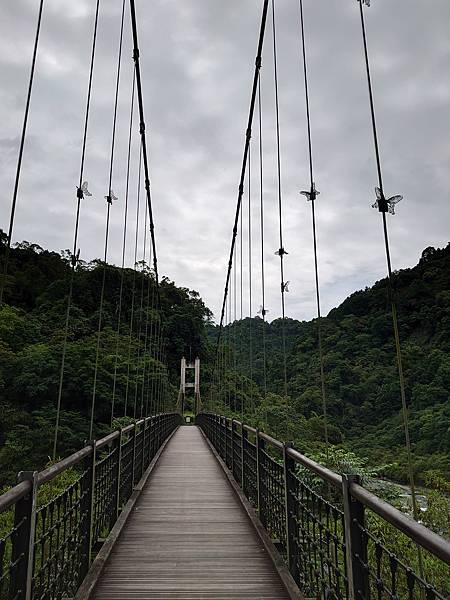 太平山森林遊樂區１-鳩之澤溫泉