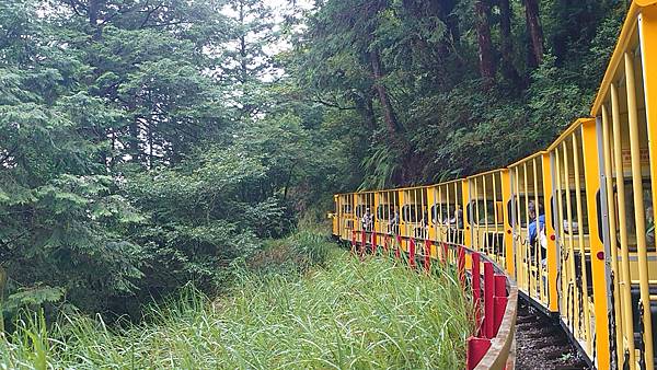 太平山森林遊樂區３-太平山蹦蹦車