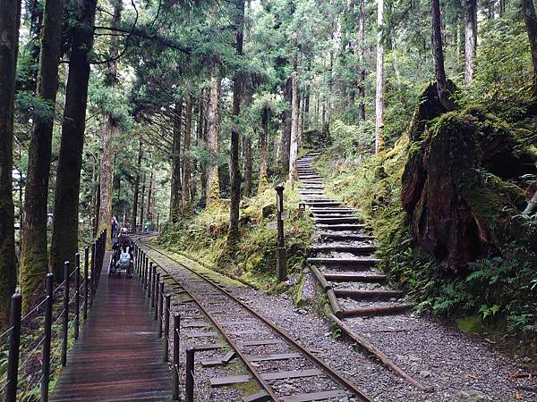 太平山森林遊樂區３-太平山蹦蹦車