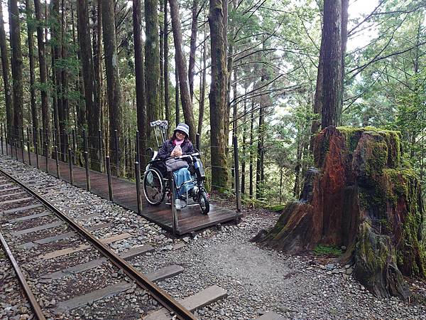 太平山森林遊樂區３-太平山蹦蹦車