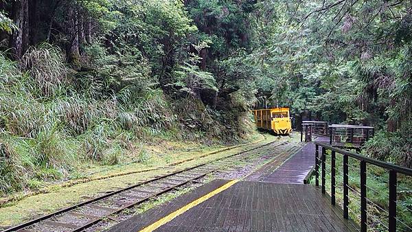 太平山森林遊樂區３-太平山蹦蹦車