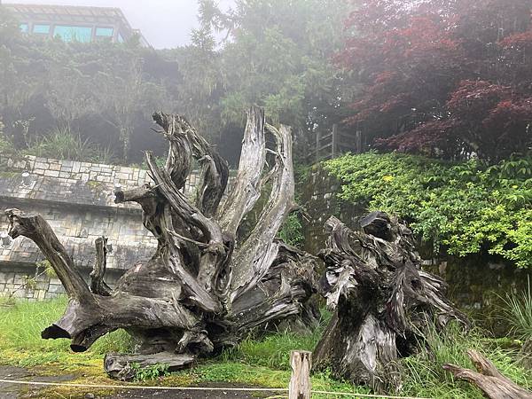 太平山森林遊樂區４-太平山莊