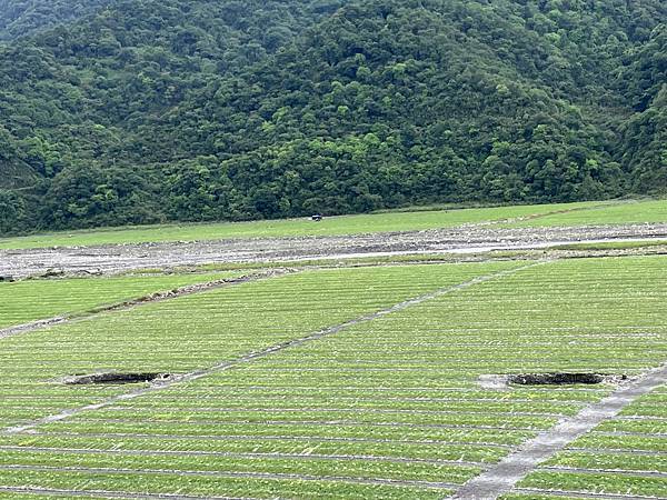 太平山森林遊樂區５-完結篇