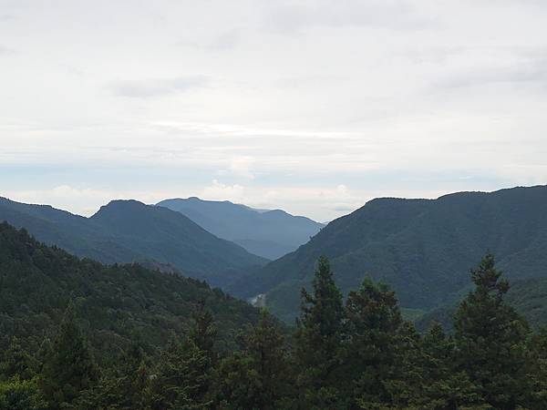 太平山森林遊樂區５-完結篇