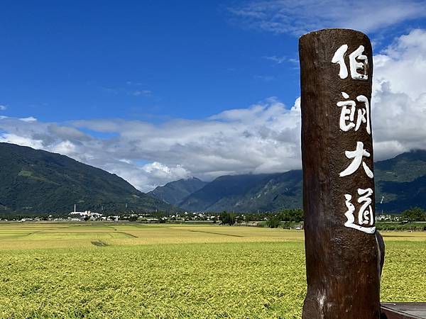 2023.10台東池上稻穗藝術節４-伯朗大道&天堂路