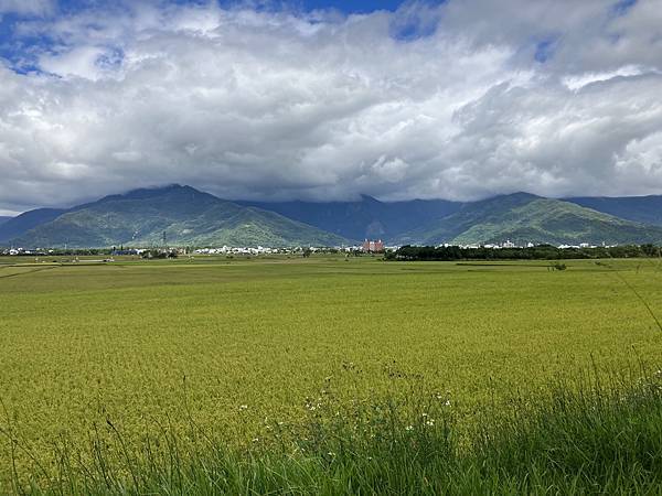 2023.10台東池上稻穗藝術節５-大坡池