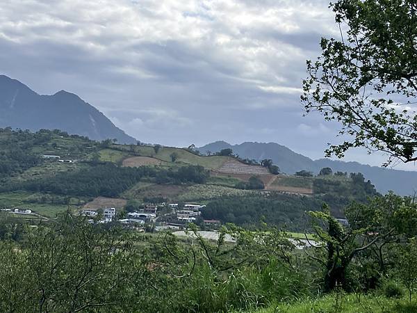 2023.11台東山海之旅４-初鹿牧場