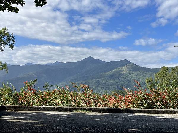 2023.11台東山海之旅４-初鹿牧場