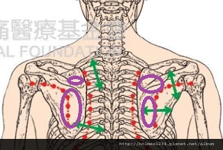 肩部原始點.jpg