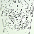 腳的反射區對應圖