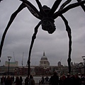 這正是Louise Bourgeois作品