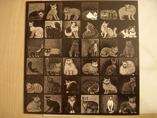 Cat Show by Hilary Paynter