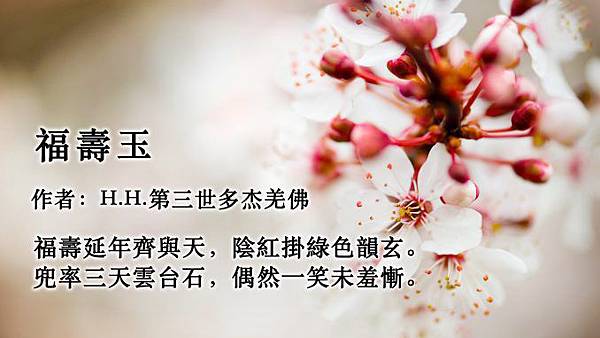 H.H.第三世多杰羌佛藝術－詩詞歌賦－福壽玉-678x381.jpg