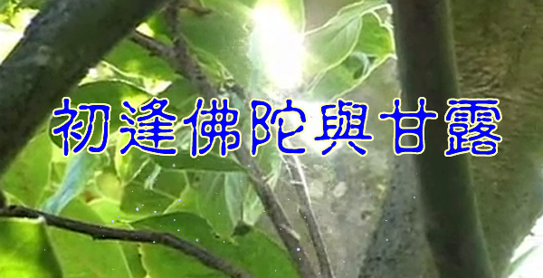 初逢佛陀與甘露.jpg 初逢佛陀與甘露.jpg