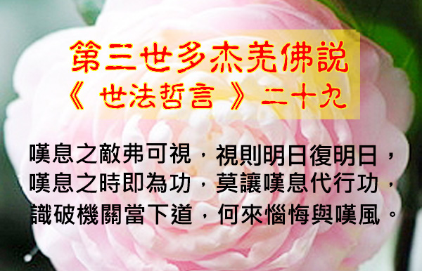 世法哲言29.jpg