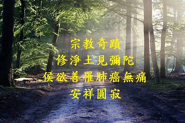 多杰羌佛.jpg 多杰羌佛.jpg