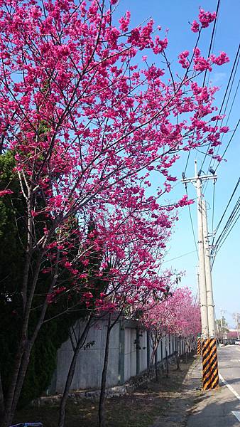 DSC_6759 DSC_6759