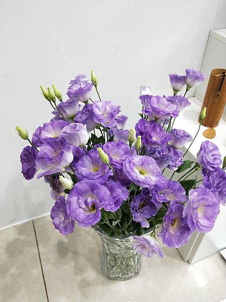 阿卡莎/把美帶入生活 阿卡莎/把美帶入生活