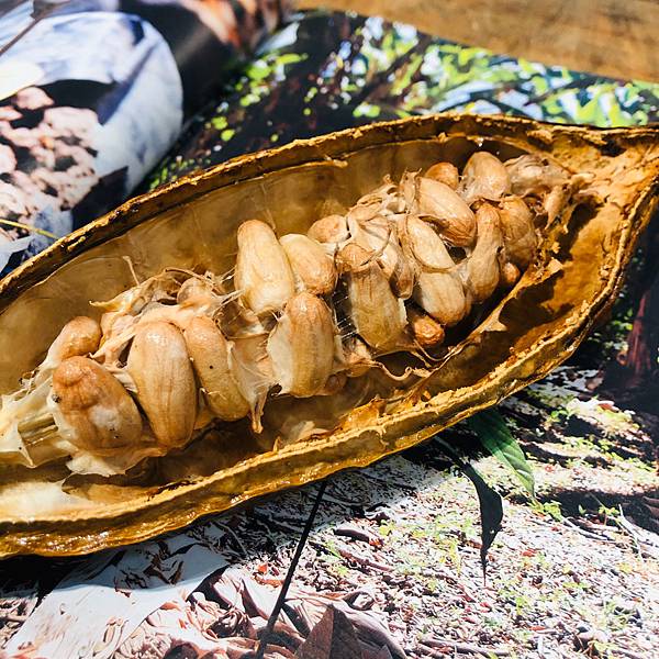 台中美食 巧遇農情 中區 發現台灣巧克力 手工巧克力Bar,超濃郁的熱可可,從烘烤到設計老闆一手完成