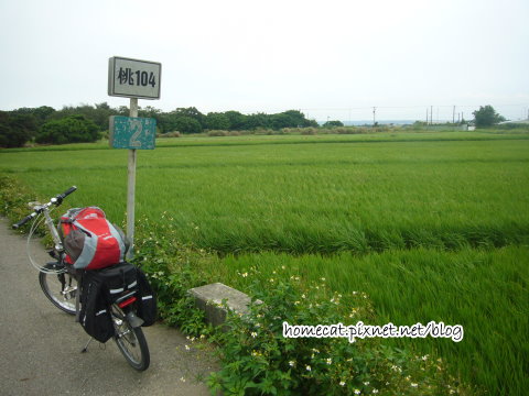 9906201.JPG 9906201.JPG
