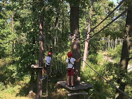 IMG_5932.jpeg IMG_5932.jpeg