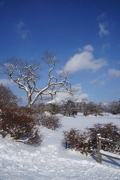 冬天日本北海道函館聖誕假期雪景-新日本三景 大小沼國立公園