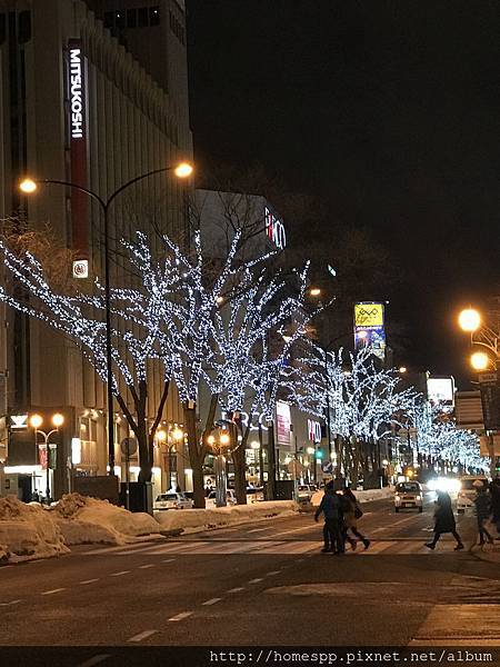 北海道 札幌白色燈樹節